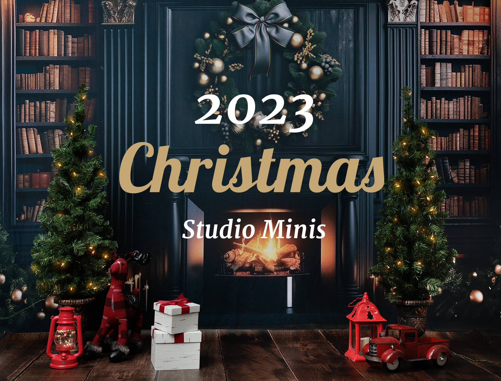 2023 Christmas Mini Sessions